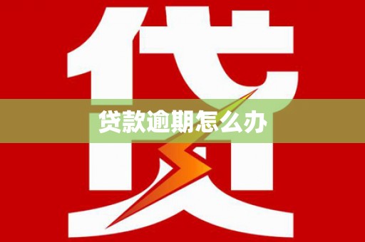 九台贷款逾期怎么办