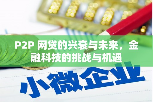九台P2P 网贷的兴衰与未来，金融科技的挑战与机遇
