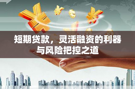 九台短期贷款，灵活融资的利器与风险把控之道