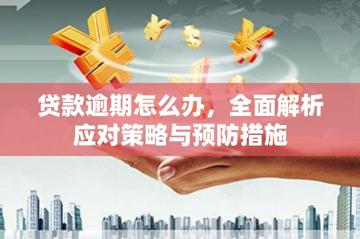 九台贷款逾期怎么办，全面解析应对策略与预防措施