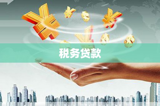 九台税务贷款