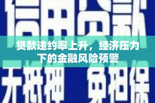 九台贷款违约率上升，经济压力下的金融风险预警