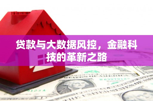 九台贷款与大数据风控，金融科技的革新之路