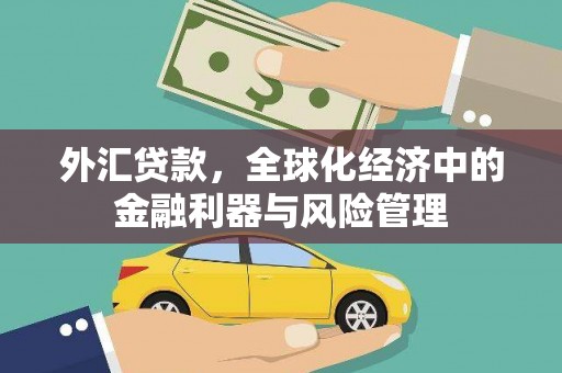 九台外汇贷款，全球化经济中的金融利器与风险管理