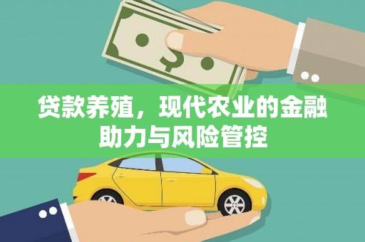 九台贷款养殖，现代农业的金融助力与风险管控