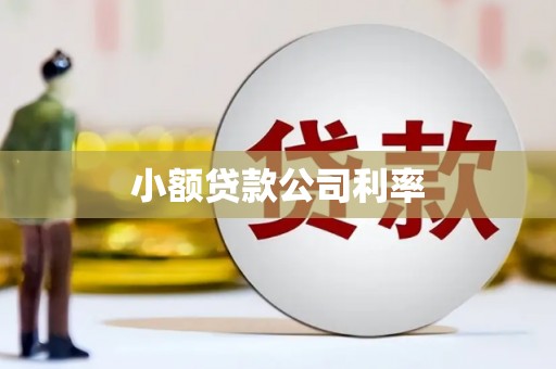 九台小额贷款公司利率
