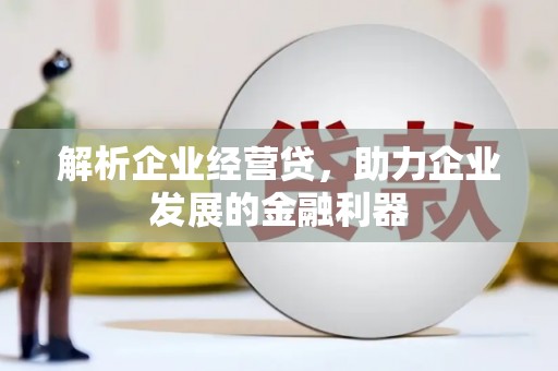 九台解析企业经营贷，助力企业发展的金融利器