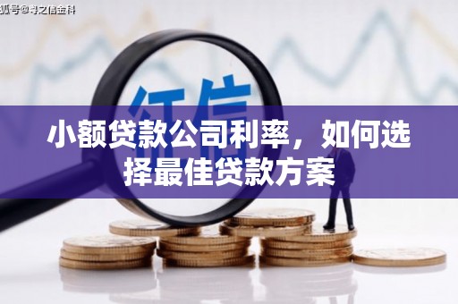 九台小额贷款公司利率，如何选择最佳贷款方案