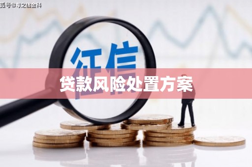 九台贷款风险处置方案