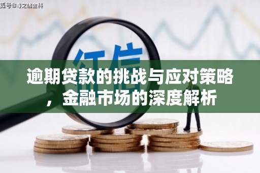 九台逾期贷款的挑战与应对策略，金融市场的深度解析