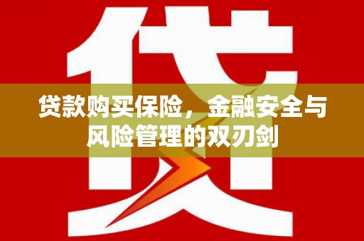 九台贷款购买保险，金融安全与风险管理的双刃剑