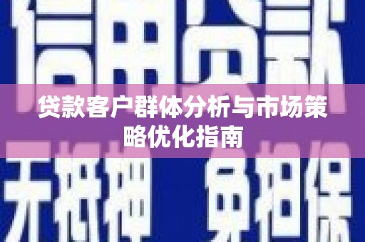 九台贷款客户群体分析与市场策略优化指南