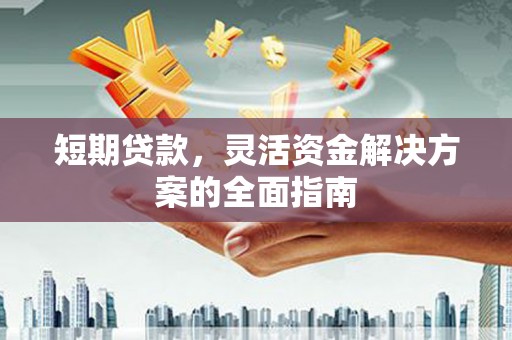 九台短期贷款，灵活资金解决方案的全面指南