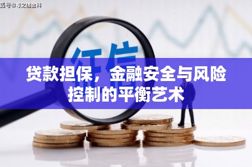 九台贷款担保，金融安全与风险控制的平衡艺术