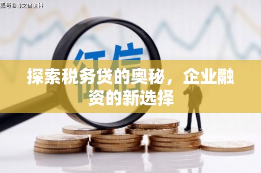 九台探索税务贷的奥秘，企业融资的新选择