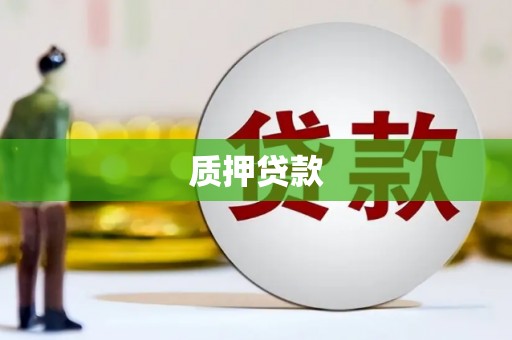 九台质押贷款