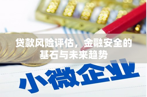 九台贷款风险评估，金融安全的基石与未来趋势