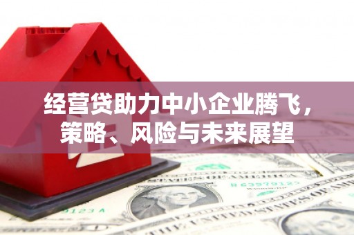 九台经营贷助力中小企业腾飞，策略、风险与未来展望