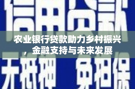 九台农业银行贷款助力乡村振兴，金融支持与未来发展