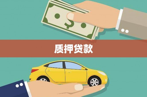 九台质押贷款