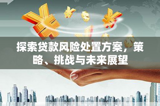 九台探索贷款风险处置方案，策略、挑战与未来展望