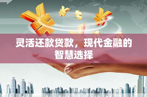 九台灵活还款贷款，现代金融的智慧选择