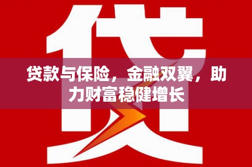 九台贷款与保险，金融双翼，助力财富稳健增长