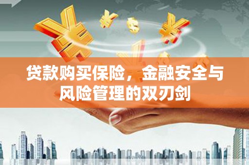 九台贷款购买保险，金融安全与风险管理的双刃剑