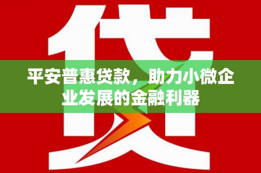 九台平安普惠贷款，助力小微企业发展的金融利器