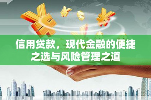 九台信用贷款，现代金融的便捷之选与风险管理之道