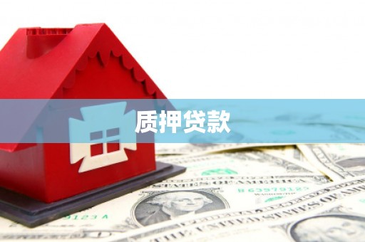 九台质押贷款