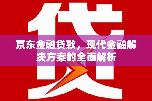 九台京东金融贷款，现代金融解决方案的全面解析