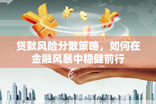 九台贷款风险分散策略，如何在金融风暴中稳健前行