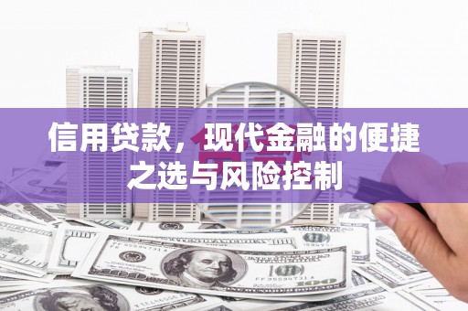 九台信用贷款，现代金融的便捷之选与风险控制