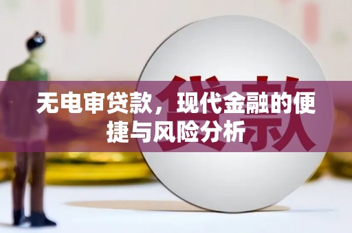 九台无电审贷款，现代金融的便捷与风险分析