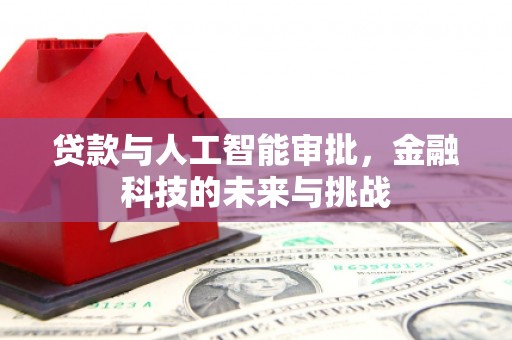 九台贷款与人工智能审批，金融科技的未来与挑战