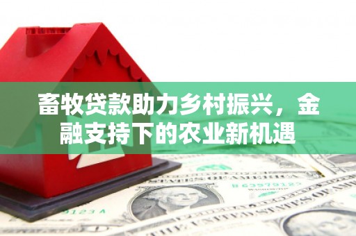 九台畜牧贷款助力乡村振兴，金融支持下的农业新机遇