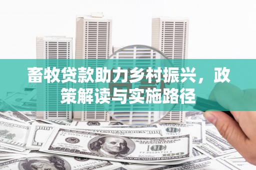 九台畜牧贷款助力乡村振兴，政策解读与实施路径