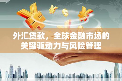 九台外汇贷款，全球金融市场的关键驱动力与风险管理