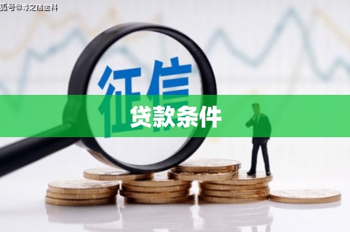 九台贷款条件