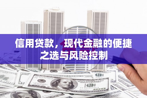 九台信用贷款，现代金融的便捷之选与风险控制
