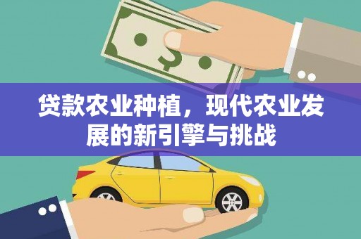 九台贷款农业种植，现代农业发展的新引擎与挑战