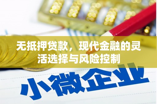 九台无抵押贷款，现代金融的灵活选择与风险控制