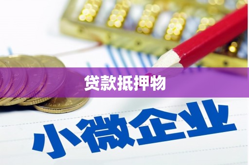 九台贷款抵押物
