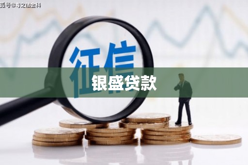 九台银盛贷款