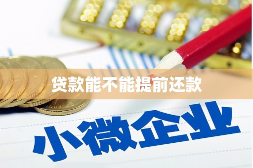 九台贷款能不能提前还款