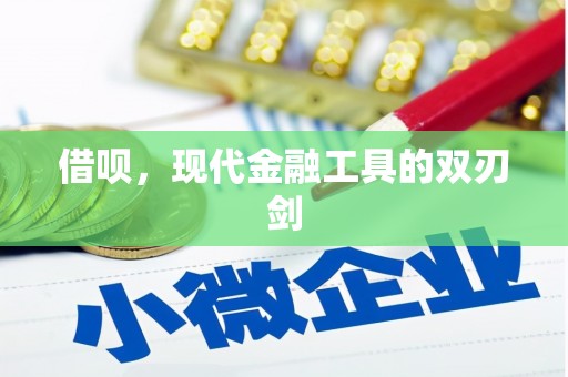 九台借呗，现代金融工具的双刃剑
