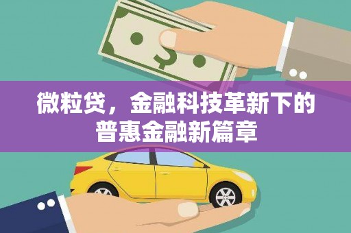 九台微粒贷，金融科技革新下的普惠金融新篇章