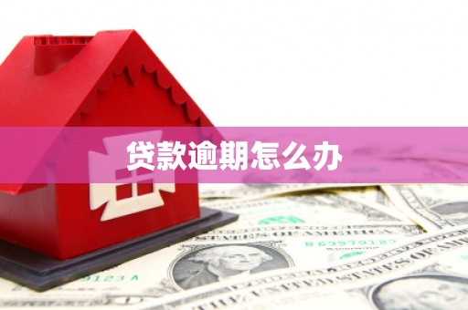 九台贷款逾期怎么办