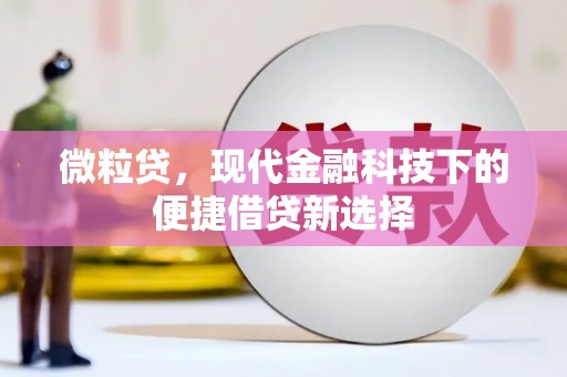 九台微粒贷，现代金融科技下的便捷借贷新选择